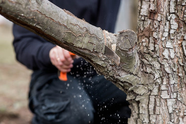 Similar image 22093466