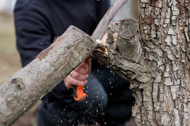 Similar image 22093467