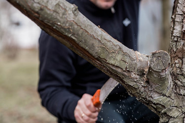 Similar image 22093468