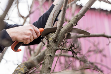 Similar image 22093471