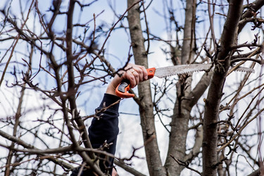 Similar image 22093472