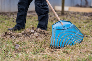 Similar image 22093483