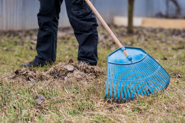 Similar image 22093484