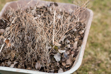 Similar image 22093488