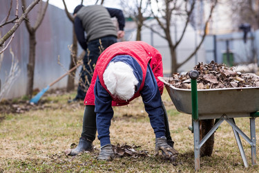 Similar image 22093489