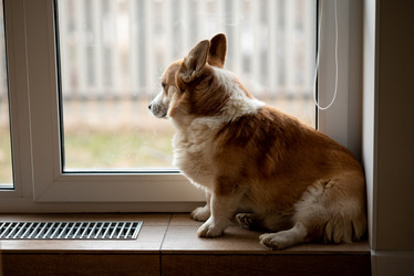 Similar image 22092861