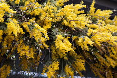 Similar image 22092830