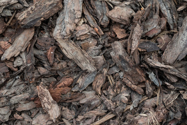 Similar image 22095650