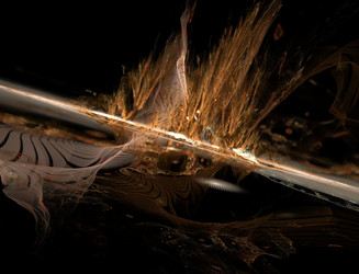 Similar image 22100312