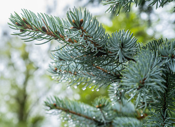 Similar image 22110125