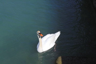 Similar image 22093035