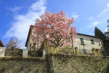 Similar image 22093036