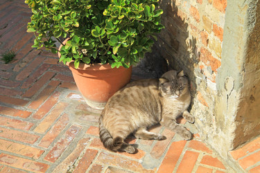 Similar image 22093040