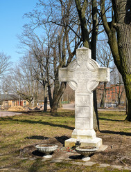 Similar image 22094488