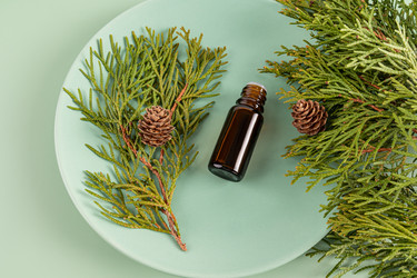 Similar image 22092974