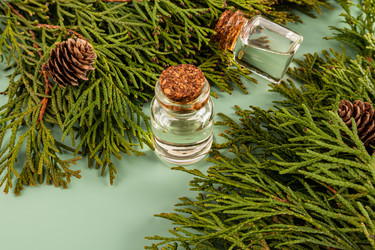 Similar image 22092975