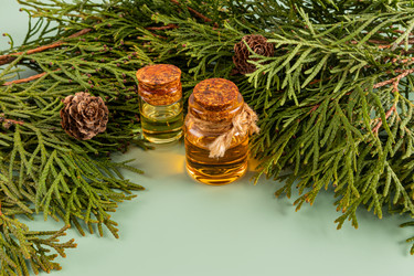 Similar image 22092976