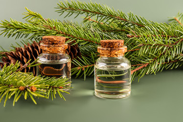 Similar image 22092978