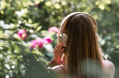 Similar image 22093500