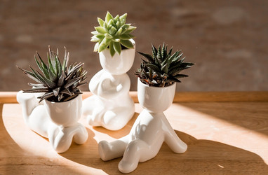 Similar image 22093539