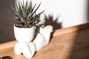 Similar image 22093541