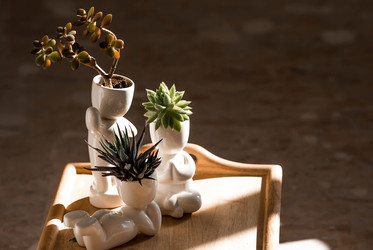 Similar image 22093542