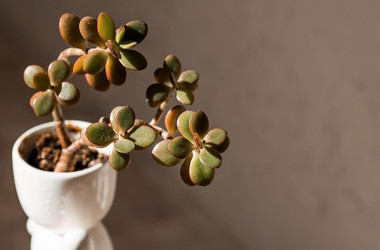 Similar image 22093543