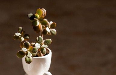 Similar image 22093544