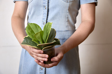 Similar image 22093775