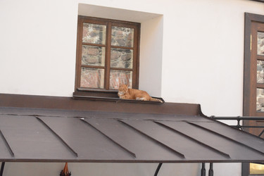 Similar image 22093655