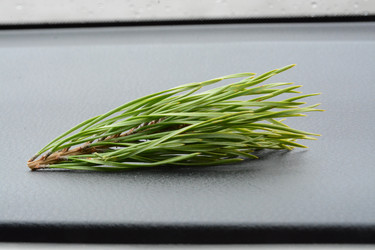 Similar image 22093205