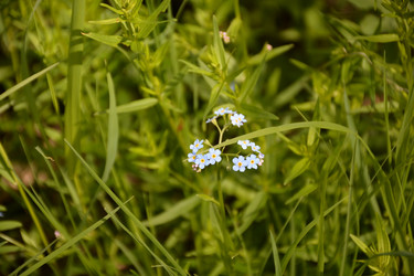 Similar image 22093660