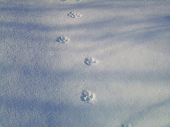 Similar image 22093210