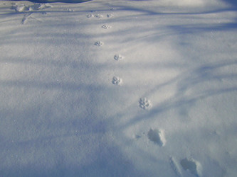 Similar image 22093212