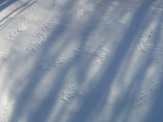 Similar image 22093215