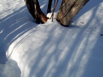 Similar image 22093217