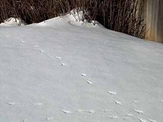 Similar image 22093223