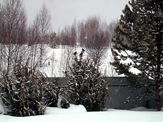 Similar image 22093227