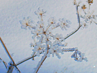 Similar image 22093230