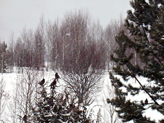 Similar image 22093231