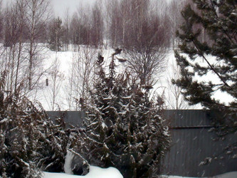 Similar image 22093233