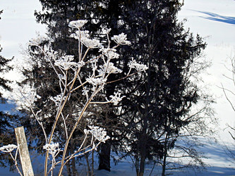 Similar image 22093234