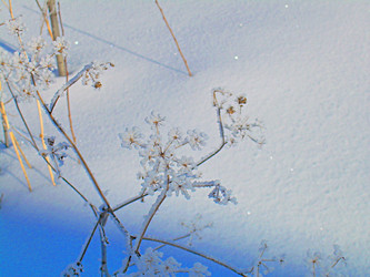 Similar image 22093247