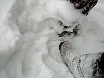 Similar image 22093248