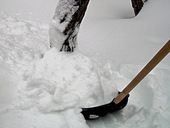 Similar image 22093250