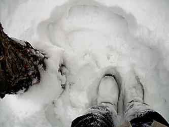 Similar image 22093251