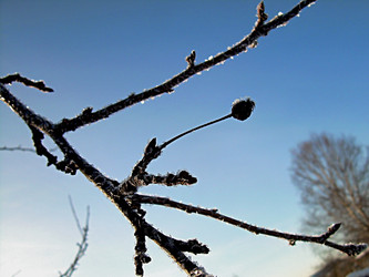 Similar image 22093252