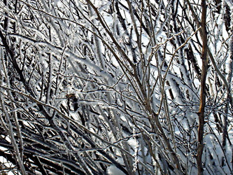 Similar image 22093253