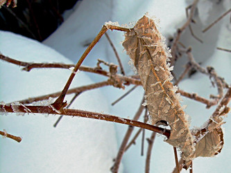 Similar image 22093254