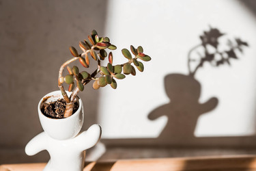 Similar image 22093547